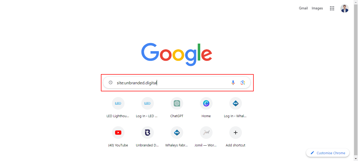 Step 4 - Finding Indexed Pages in Search Operator